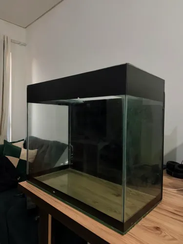 AQUÁRIO DE 100 L / PRONTO PARA USO