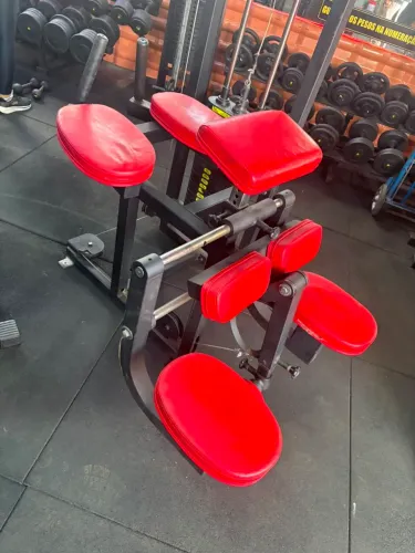 Flexora em pé