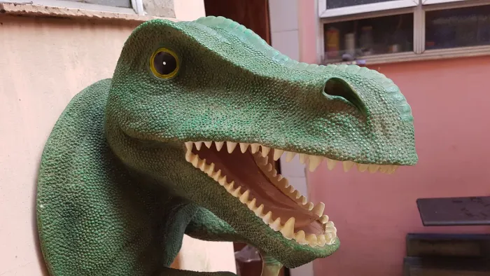 Cabeça de dinossauro