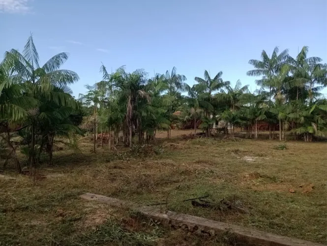 Terreno no bairro bom jardim !