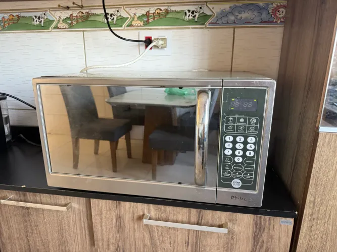 Microondas não esquenta 