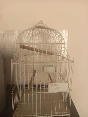 Gaiola