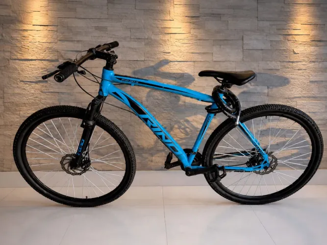 Bicicleta Rhino Aro 29