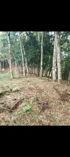 VENDO ÁREA DE CHÁCARA.