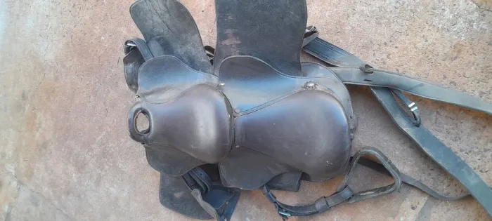 Sela dupla de cavalo