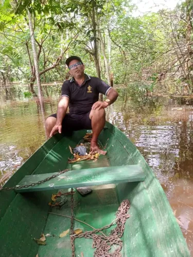 Caseiro disponível experiência