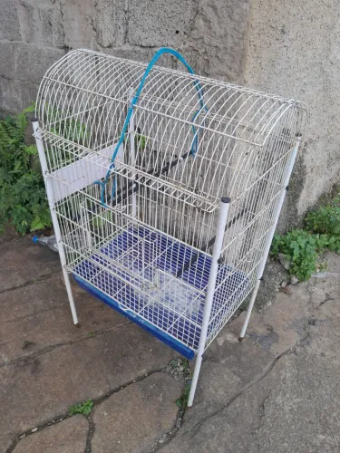 Viveiro top sem quebrado