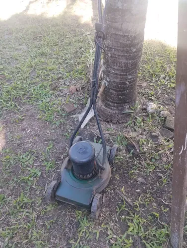 Cortador de grama elétrico