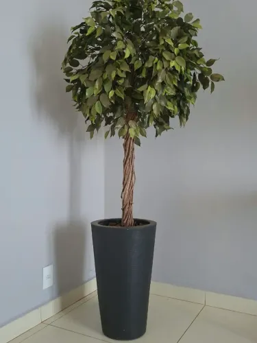 1 Vaso com arvore ficus artificial, com casca natural de arvore. 1,79m altura