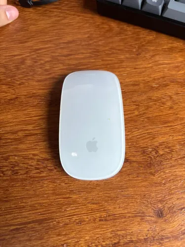 Magic Mouse Apple