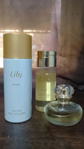 Vendo Kit Lily