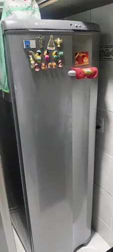 Freezer Electrolux