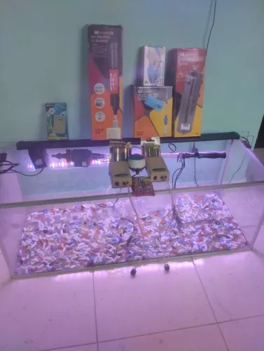 Aguario com todos acessórios