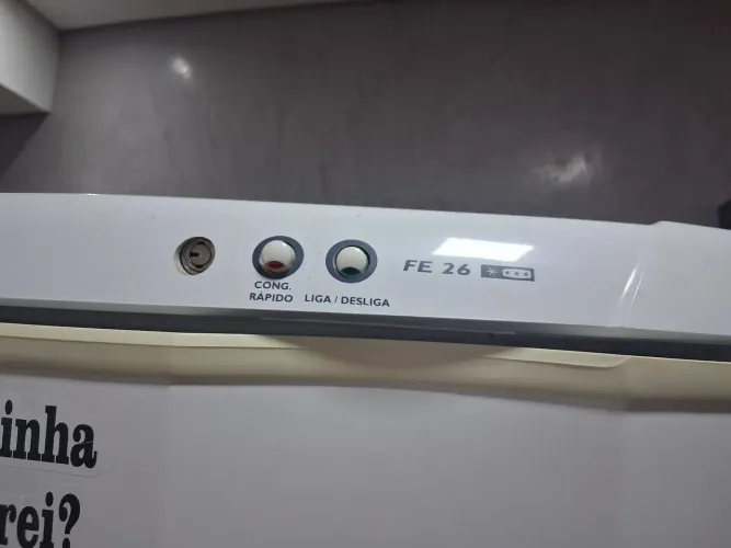 Freezer horizontal