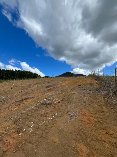Chácara de 7.500 metros próximo a grapuama Aracruz, energia, escritura a 1 km do asfalto.