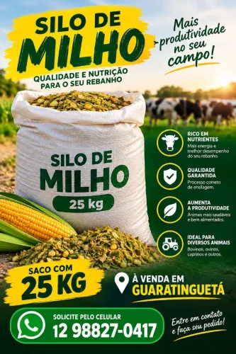 SILO DE MILHO À VENDA!