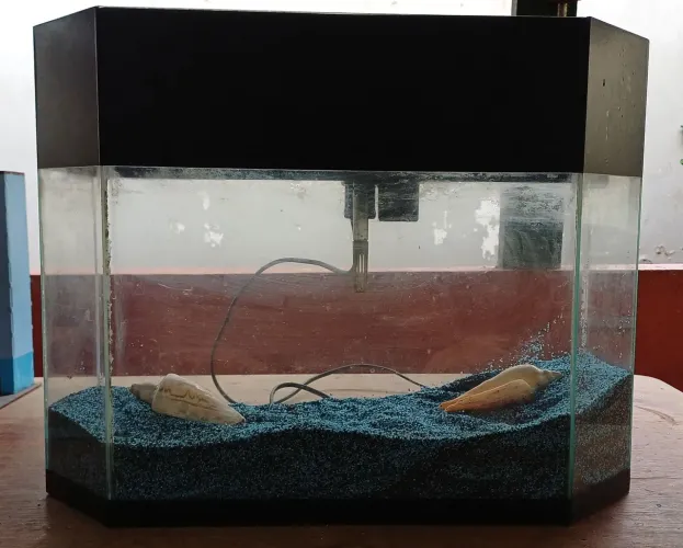 Aquario completo
