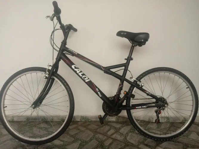 Caloi 300