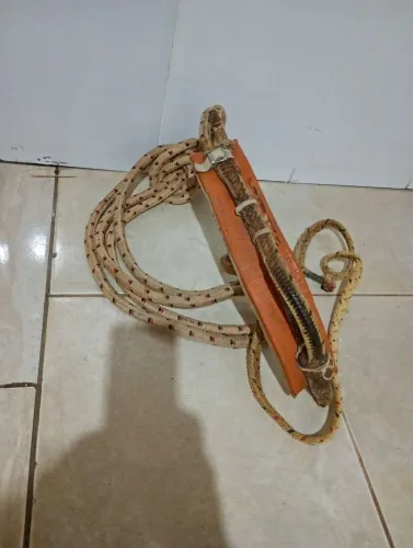 traía de montaria em touro 