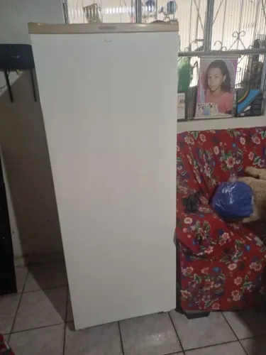 Freezer horizontal