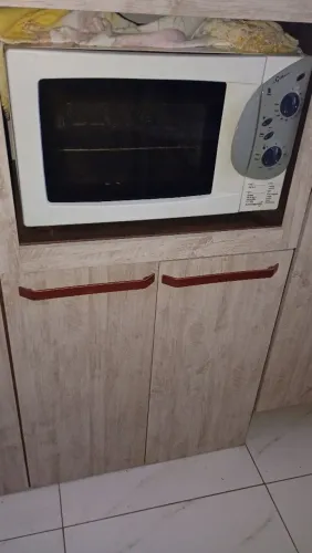 Lote Desapego: Forno Fischer + Purificador Top Life 220V 