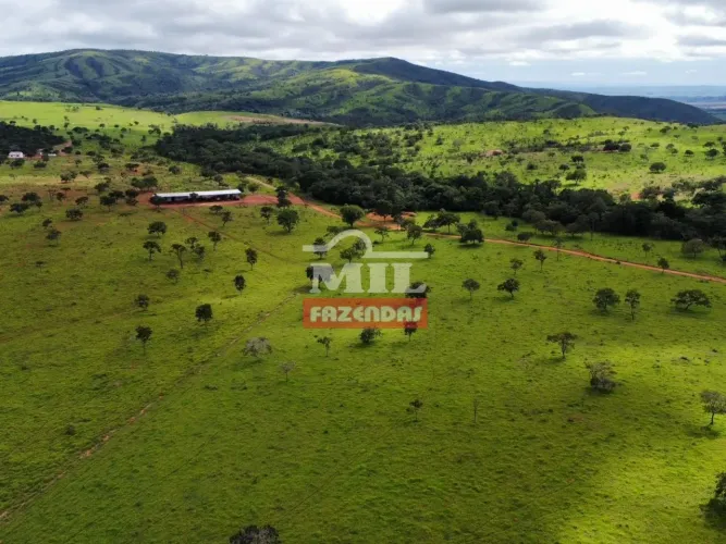 Fazenda 168 Alqueires (813 Hectares) Cocalzinho de Goiás