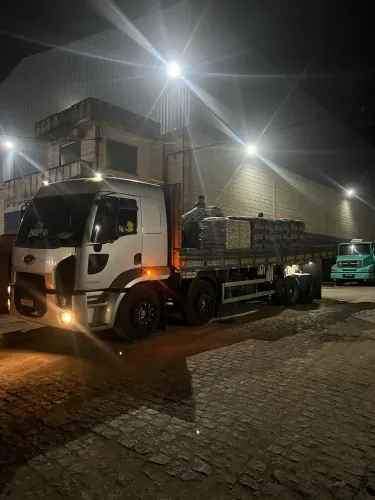 Ford cargo 2431 bitruck