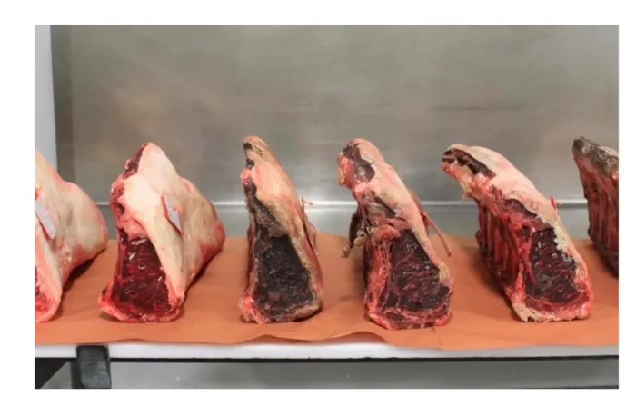 Vendemos dry aged