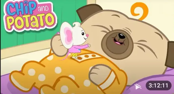 Chip potato 