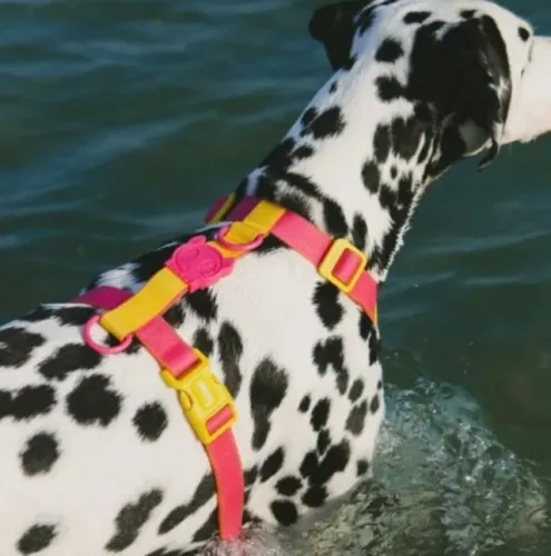 Peitoral zeedog TAM G e Petz TAM M