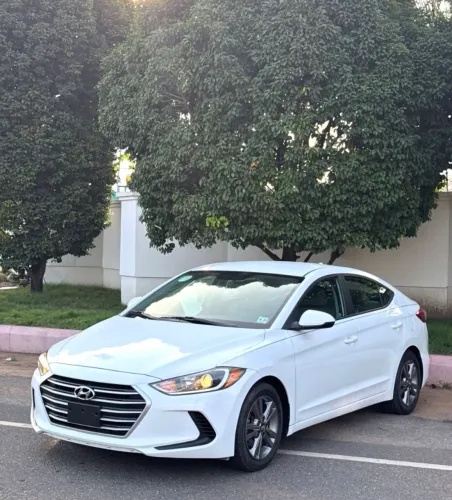 Hyundai Elantra 2.0 16V Flex Aut. 2017