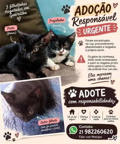 Adoção Responsável urgente
