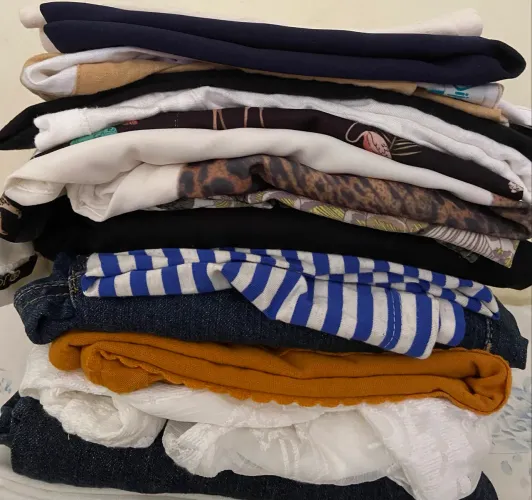 14 peças roupas femininas TAM P