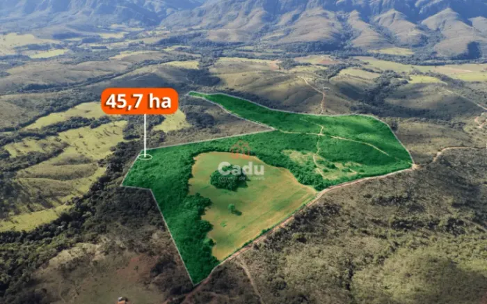 Área Rural de 45,7 Hectares à Venda em Delfinópolis/MG | Vale da Gurita