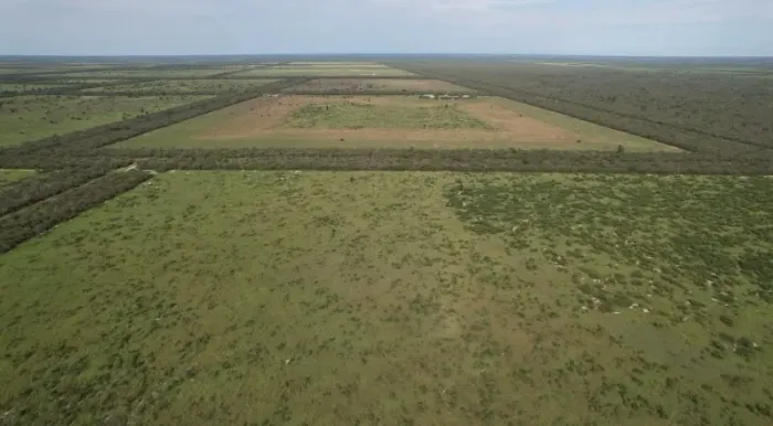 Oportunidade de Investimento Agrícola e Pecuário no Paraguai
