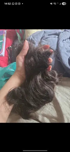 Cabelo natural virgem 15cm