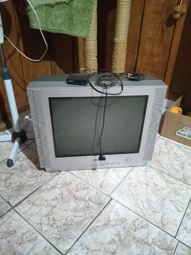 TV 21"