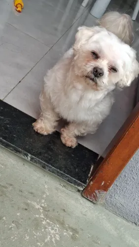 Doação