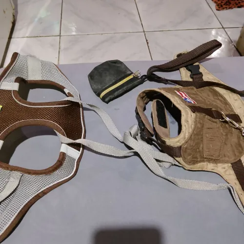 assessorio para pet