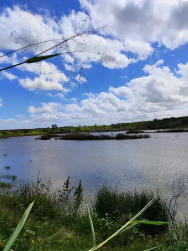 Fazenda na região de vera cruz com 90 hectares