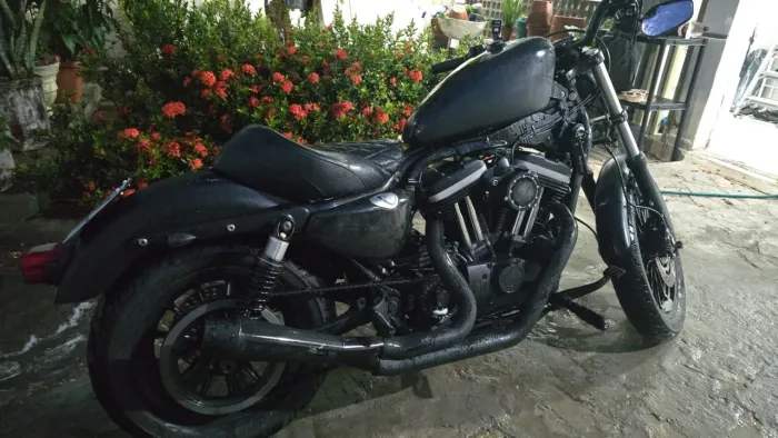 Harley davidson 883 iron