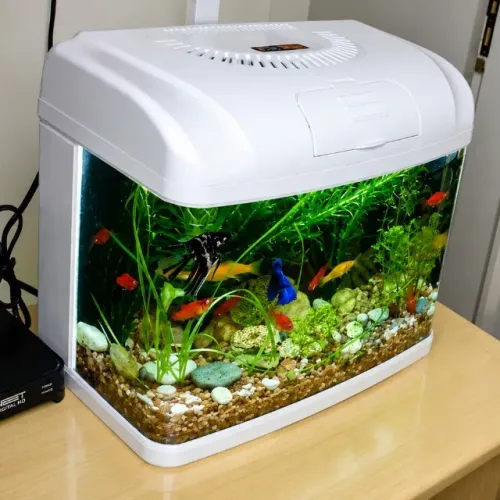 Aquário Tianrun AA-300F, 20l, Panorâmico Completo + Kit Super Premium de Acessórios