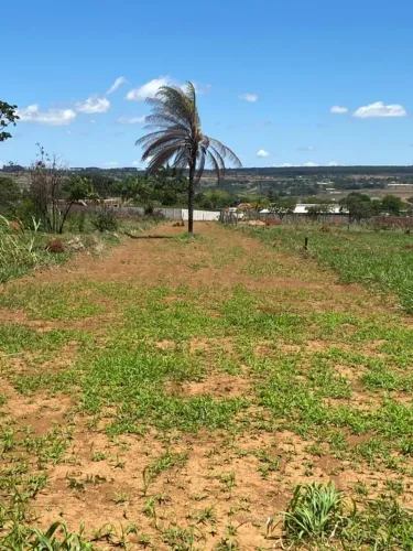 Lote de mil metros quadrados no Incra, Núcleo Rural Alexandre Gusmão