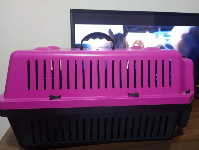 Caixa de trasporte pets