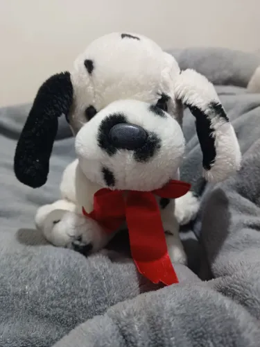 Cachorrinho dálmata pelucia