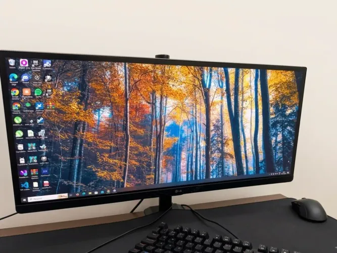 Monitor LG UltraWide 25? IPS 75Hz 25UM58G Full HD + Caixa Original + Suporte original