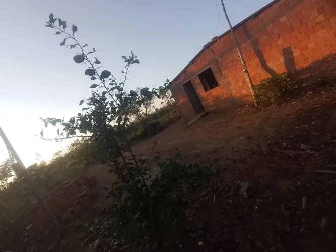 Chácara 8 hectares
