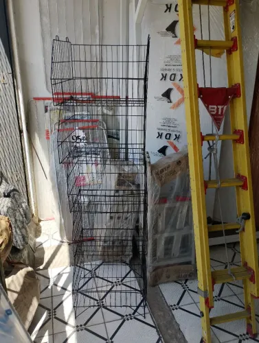 Cesto para loja. 99,00