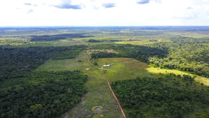 fazenda para venda no município de Alenquer no Pará com 1.813 ha., sendo 1.352ha. de abert