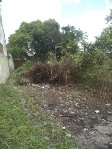 Terreno km 32